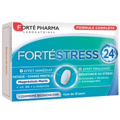 Forté Pharma Forté Stress 24h 15 Compresse