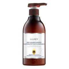 Saryna Key Shampoo detergente profondo capelli e cuoio capelluto grassi 500 ml