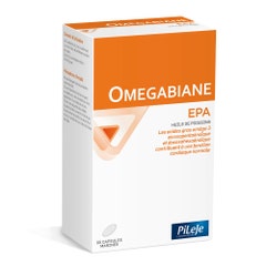 Pileje Omegabiane Omegabiane Epa 80 Capsule 80 capsules