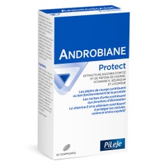 Pileje Androbiane Androbiane Protect 60 Compresse