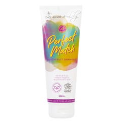 Les Secrets de Loly Shampoo Perfect Match 250ml