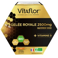 Vitaflor Pappa reale biologica 2500 mg e vitamina D 20x10ml