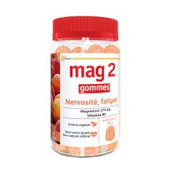 Mag 2 Magnesio + Vitamine B6 x45 gommine