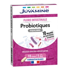Juvamine PROBIOTICS BALANCE 4 ceppi Digestione 15 capsule