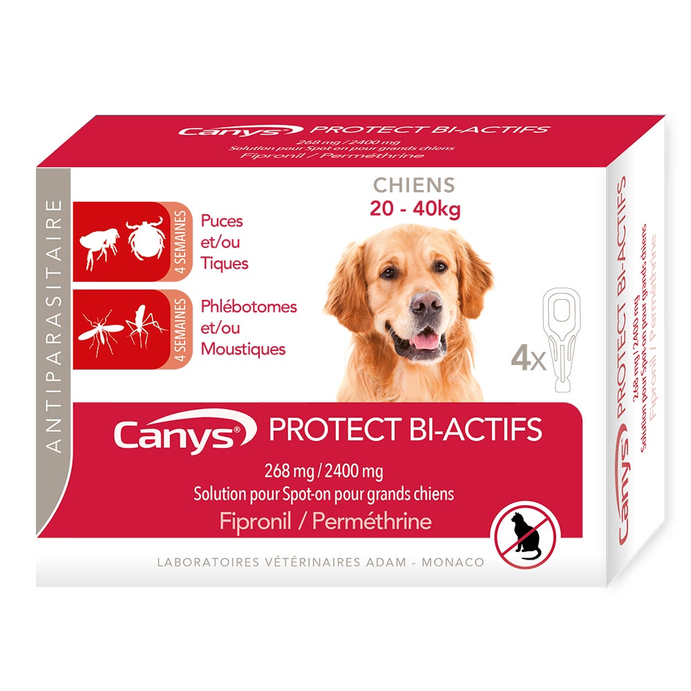 Canys Protec Actifa 268mg/2400 mg soluzione spot-on per Cane (20-40kg) 4x4.40ml