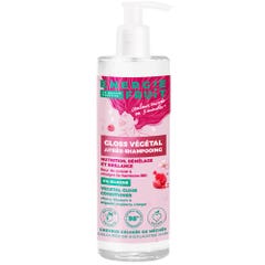 Energie Fruit Gloss vegetale dopo shampoo all'aceto di lamponi e fiori di ciliegio biologico Capelli colorati o striati 300 ml