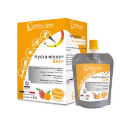 Effinov Nutrition Hydraminov Gel+ Sport x3 bottiglie