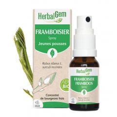 Herbalgem Bourgeons Spray al lampone Bio 15ml