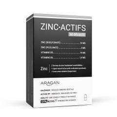 Aragan Synactifs ZincActives 60 capsule