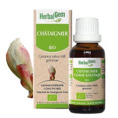 Herbalgem Bourgeons Ritenzione Circolazione Organica Castagno 30ml