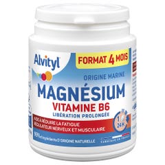 Alvityl Magnesio Vitamina B6 120 compresse