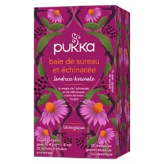 Pukka Infuso per le difese immunitarie - Sambuco ed Echinacea x 20 bustine
