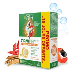 Sante Verte Toniphyt Boost Gusto arancione 30+15 compresse effervescenti