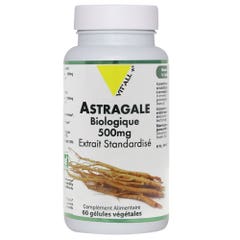 Vit'All+ Astragalo 500 mg 500 mg 60 Capsule