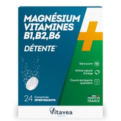 Vitavea Santé Magnesio + Vitamine B1 B2 B6 Détente 24 compresse