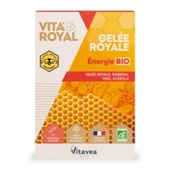 Vitavea Santé Vita'Royal Energia biologica Gelee Royale 10 fiale