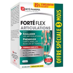 Forté Pharma Forté Flex Articolazioni 90 geluli