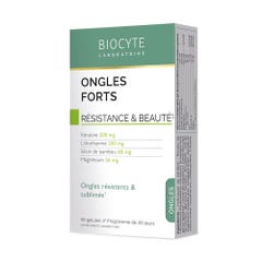 Biocyte Ongles Ongles Forts Keratin Silice Bambù 40 Gelules 40 capsule Ongles Résistance et beauté Biocyte Forts Keratin Bambù 40 Gelules Resistenza e bellezza 40 capsule