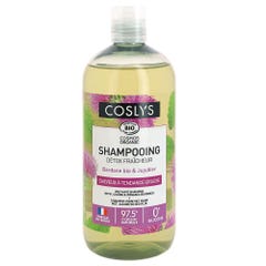 Coslys Shampoo Detox freschezza Bio Capelli grassi 500ml