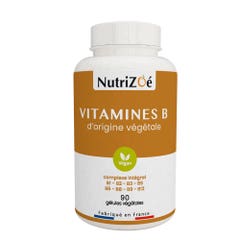 NutriZoé Vitamine B 90 gélules