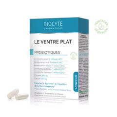 Biocyte Snellente Le Ventre Plat Probiotiques 30 Gélules
