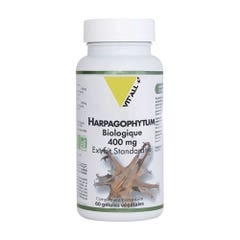 Vit'All+ Arpagofito Bio 400 mg 60 capsule