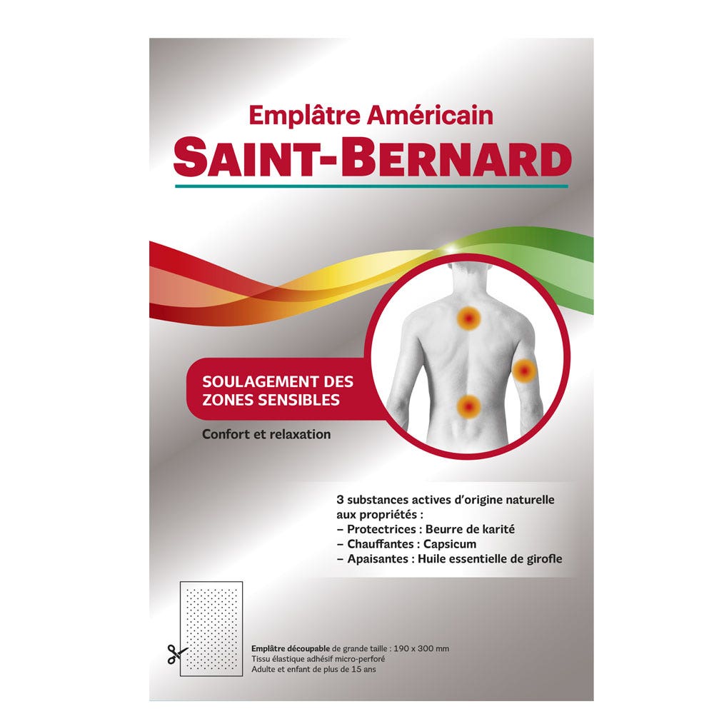 Saint-Bernard Gesso americano x1