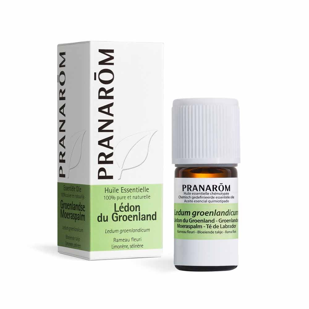 Pranarôm Oli Essenziali Olio essenziale Ledon del Groenlandia 5 ml