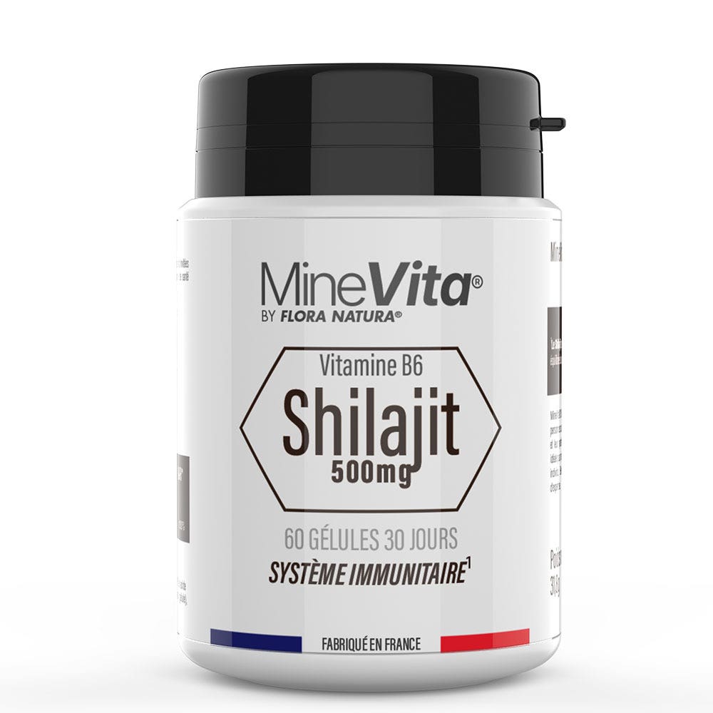 Flora Natura Minevita® Shilajit 1000 mg 60 capsule