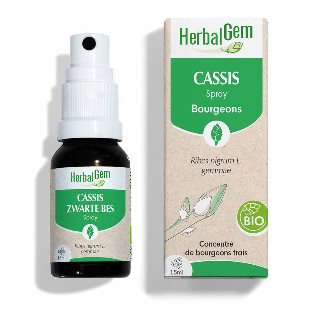 Herbalgem Bourgeons Spray al ribes nero Bio 15ml