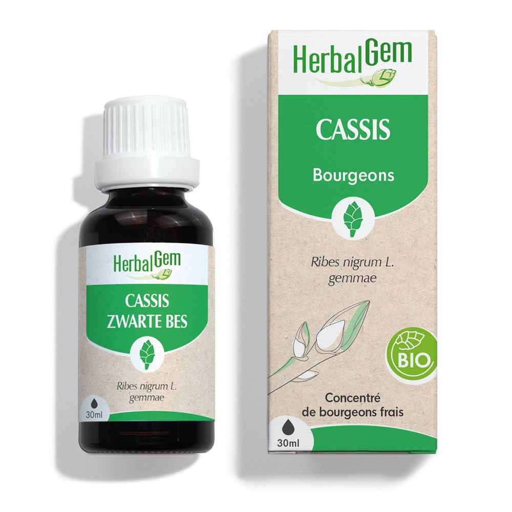 Herbalgem Ribes nero Bio 30ml