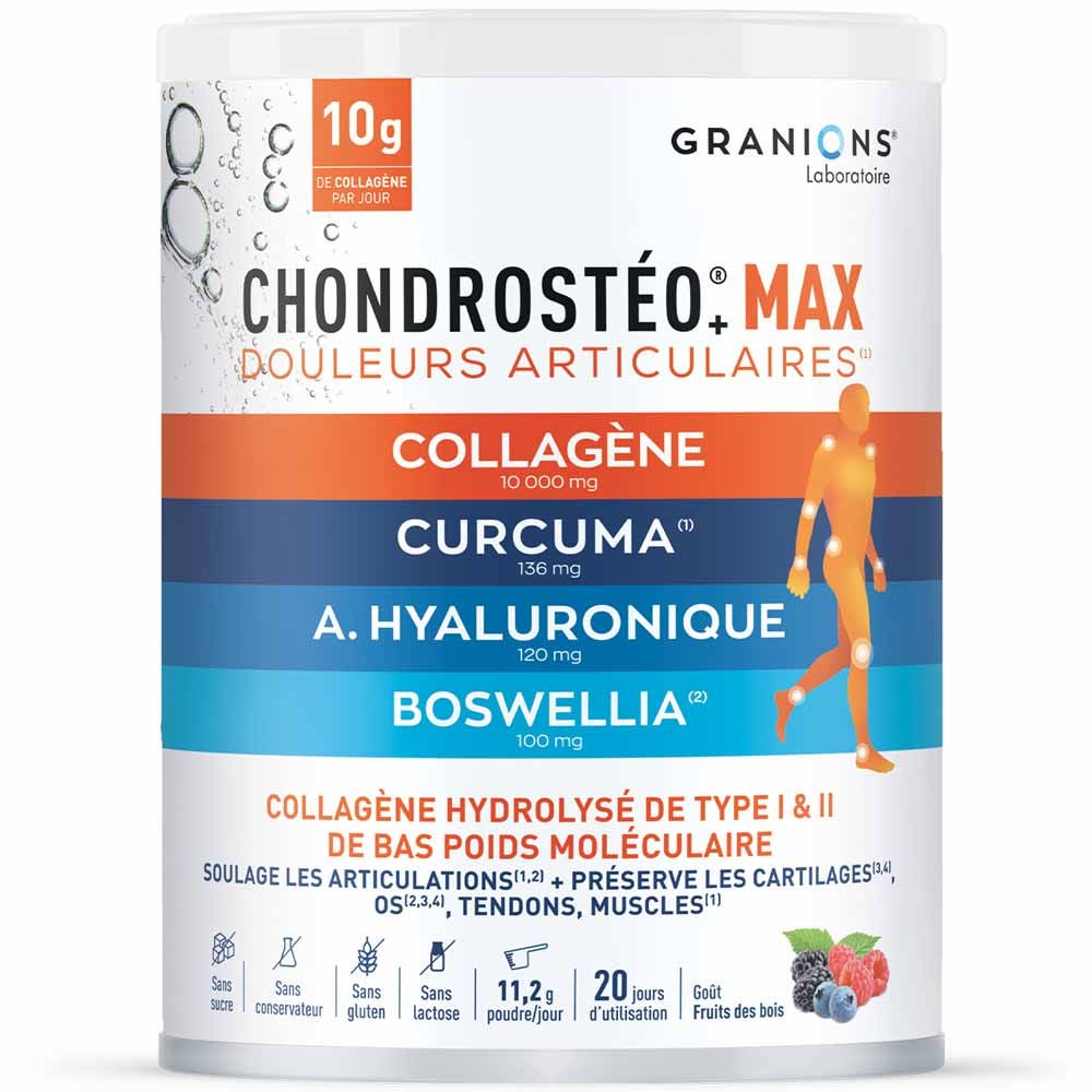 Granions Chondrostéo Max gusto frutti di bosco 226 g