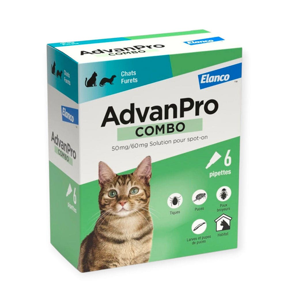 Advanpro combo Spot-On gatto x6