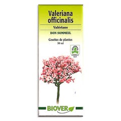 Biover D. Plantes Gocce Valeriana Officinalis Valeriane Bon Sonno 50 ml