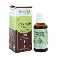 Herbalgem Corniolo biologico 30ml