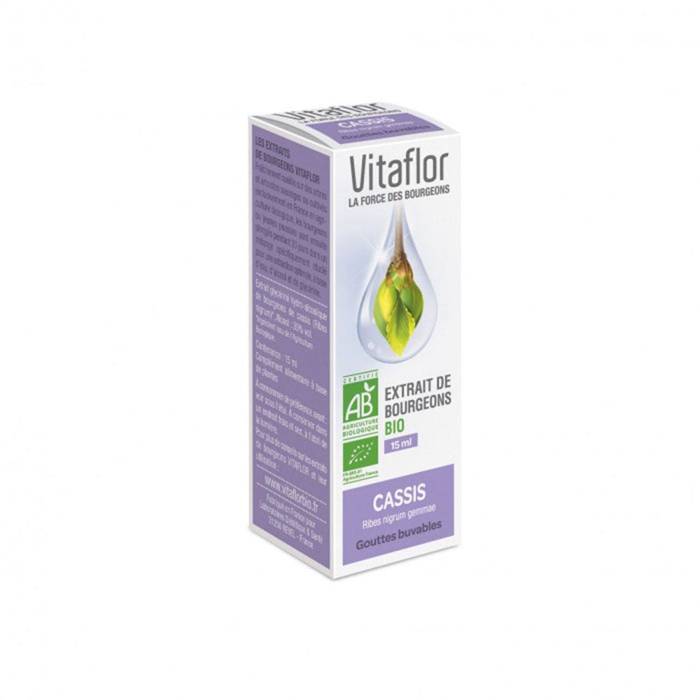 Vitaflor Estratto di gemme di ribes nero biologico 15ml