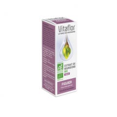 Vitaflor Estratto di gemme di fico biologico 15ml