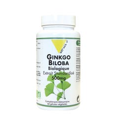 Vit'All+ Ginkgo Biloba Estratto organico standardizzato 500 mg 60 capsule