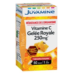 Juvamine Pappa Reale + Vitamine C 50 Gelule