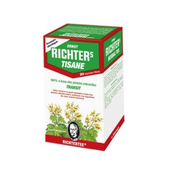 Dr. Theiss Naturwaren Tè alle erbe di Ernest Ritchers di transito 20 Sacchetti filtro