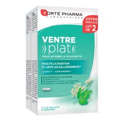 Forté Pharma Pancia Piatta Snellente 2x28 Capsule