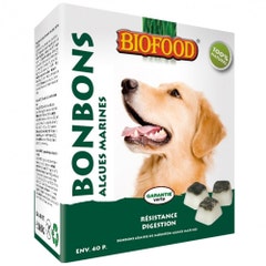 Biofood Biofood Bonbon Resistance Digestion Maxi Algues Marines Chien 40 Pieces