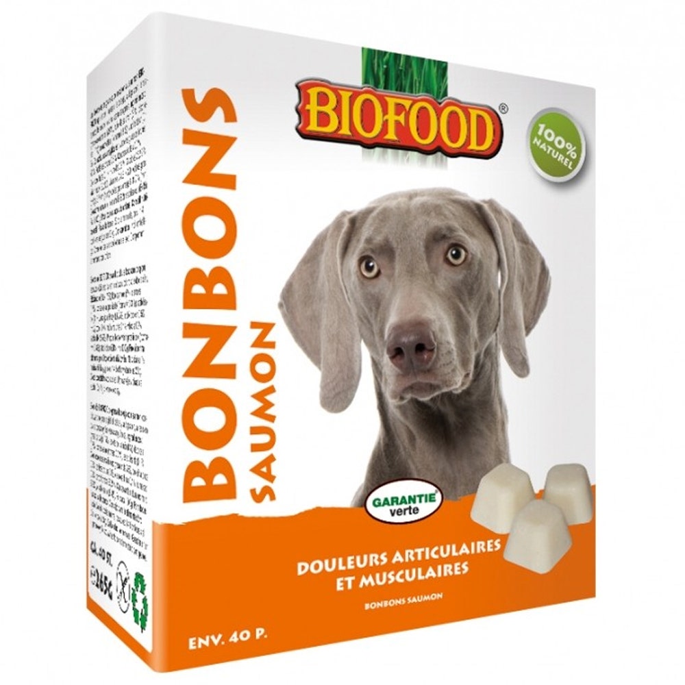 Biofood BF Petfood Maxi Salmon Joint & Muscle Dolori Candy per Cane 40 pezzi