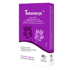 Phytoresearch Telomerys 60 Gelule