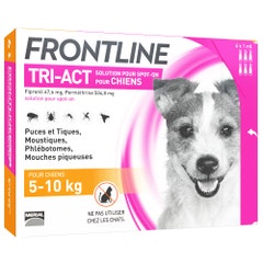 Frontline Tri-act Spot-on Cane 5-10kg 6 Pipette da 1ml