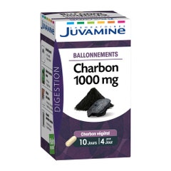 Juvamine Carbone 40 Gelule 1000 mg