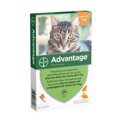 Advantage 40 Soluzione Spot-on per Gatti e Conigli di peso inferiore ai 4kg 4 kg