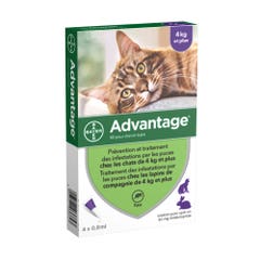 Advantage Soluzione Spot-on per Gatti e Conigli di peso superiore ai 4kg 4x0.8ml