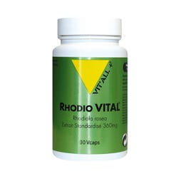 Vit'All+ Rhodio Vital Estratto standardizzato di Rhodiola Rosea 360mg 30 capsule