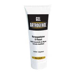 Nutri Expert Artrogenol Benessere articolare Gel 100ml